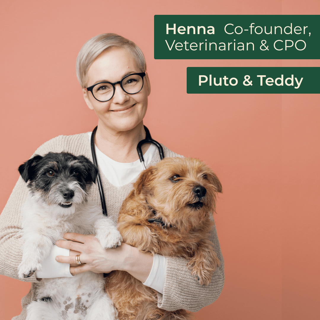 Eläinlääkäri Henna Söderholm ja koirat Teddy sekä Pluto.