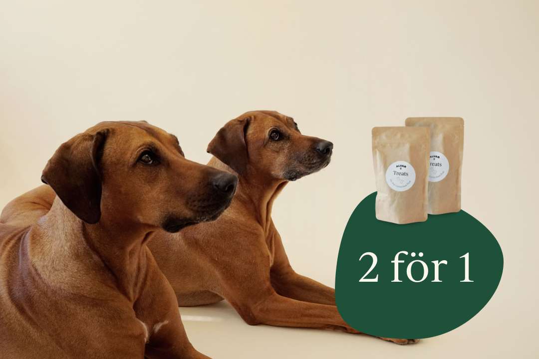 2for1 desktop 2 påsar hundgodis till priset av 1