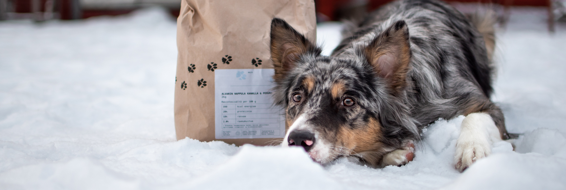 Alvar Pet hundfoder påse i snö