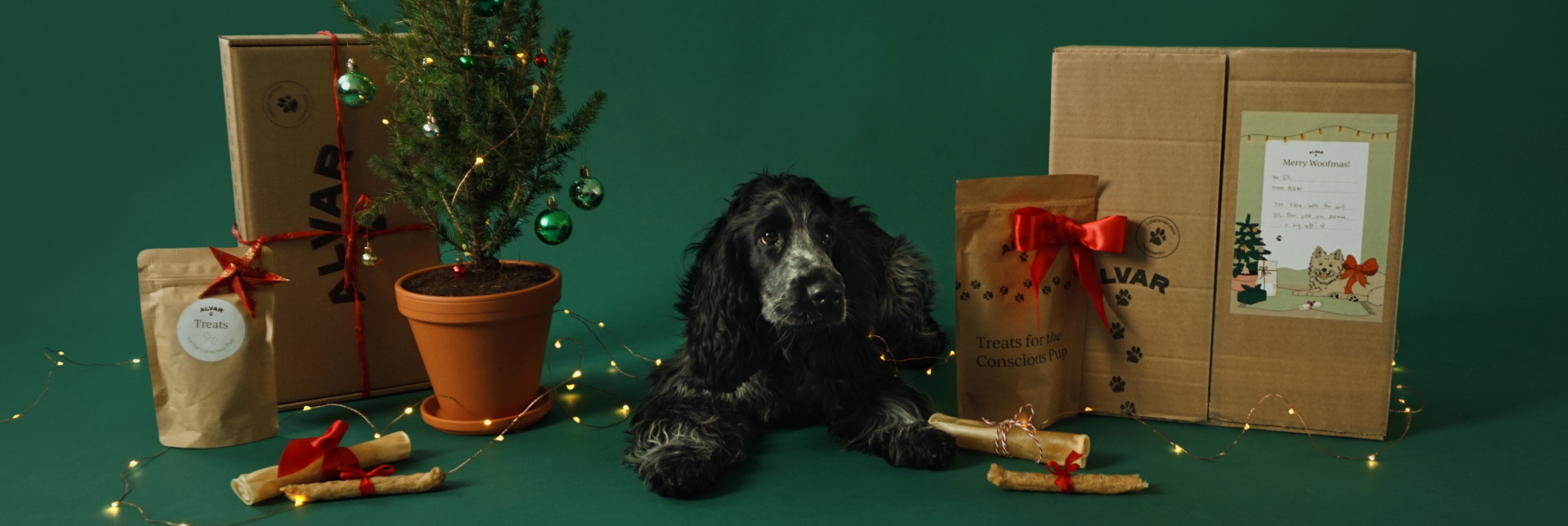 Hund med alvars julklappstips hundfoder och hundgodis