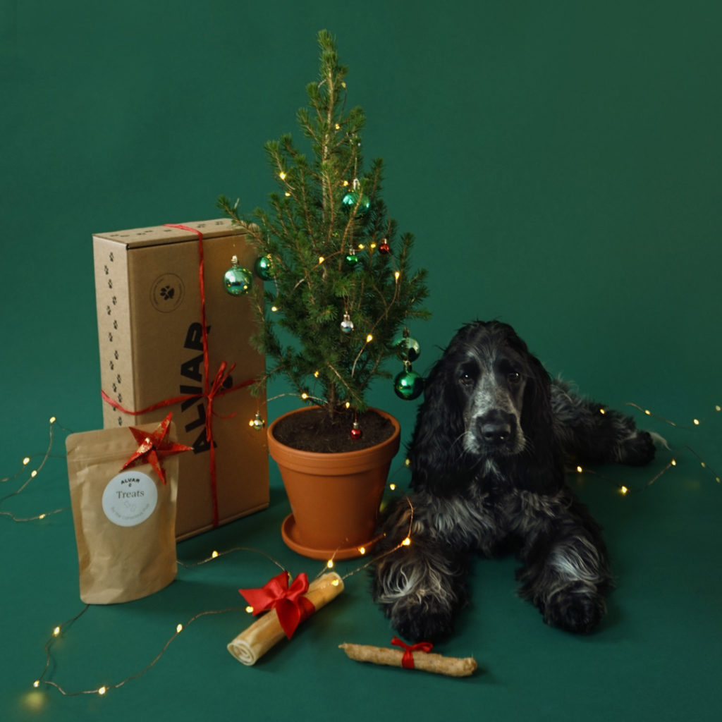 10 Christmas Gift Ideas For The Special Pets In Your Life