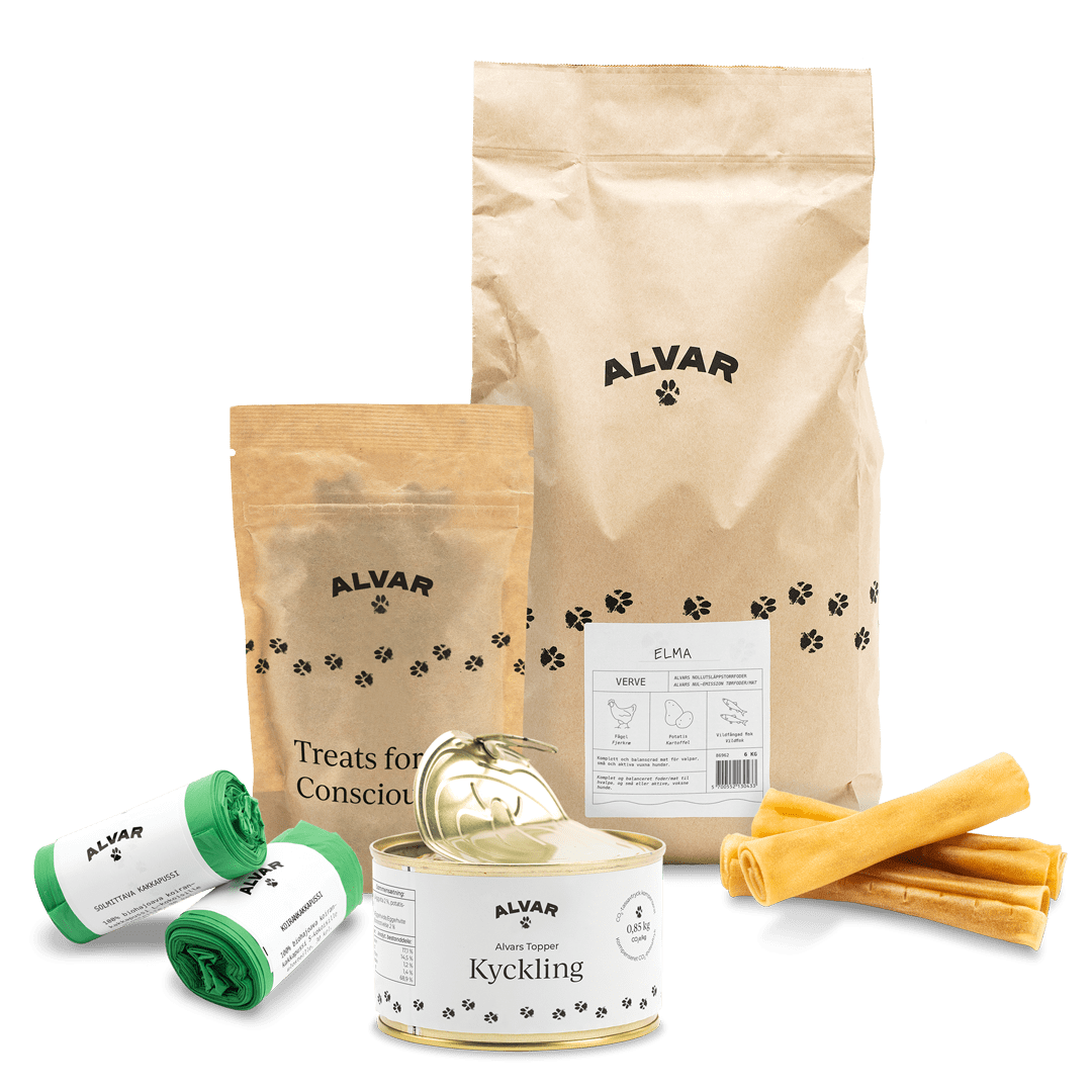 Produkter i Alvars puppybox: valpmat, hundgodis, tugben, våtfoder