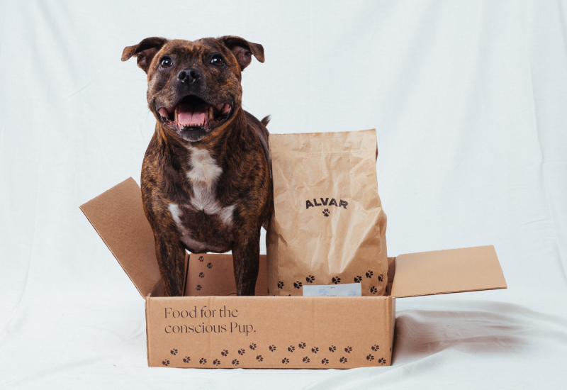 Hund med ett prova på paket med 2 kg torrfoder