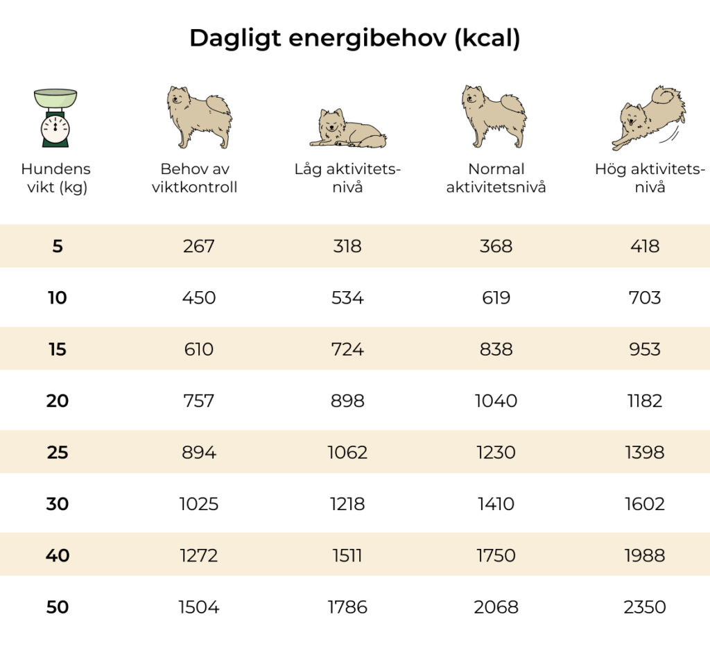 Tabell över dagligt energibehov för olika hundar baserat på aktivitetsnivå