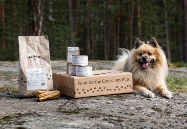 A photo of our company muse Alvar the dog with some Alvar dog food products and delivery box