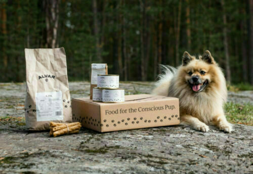 Hund med flera Alvar Pet produkter i skogen