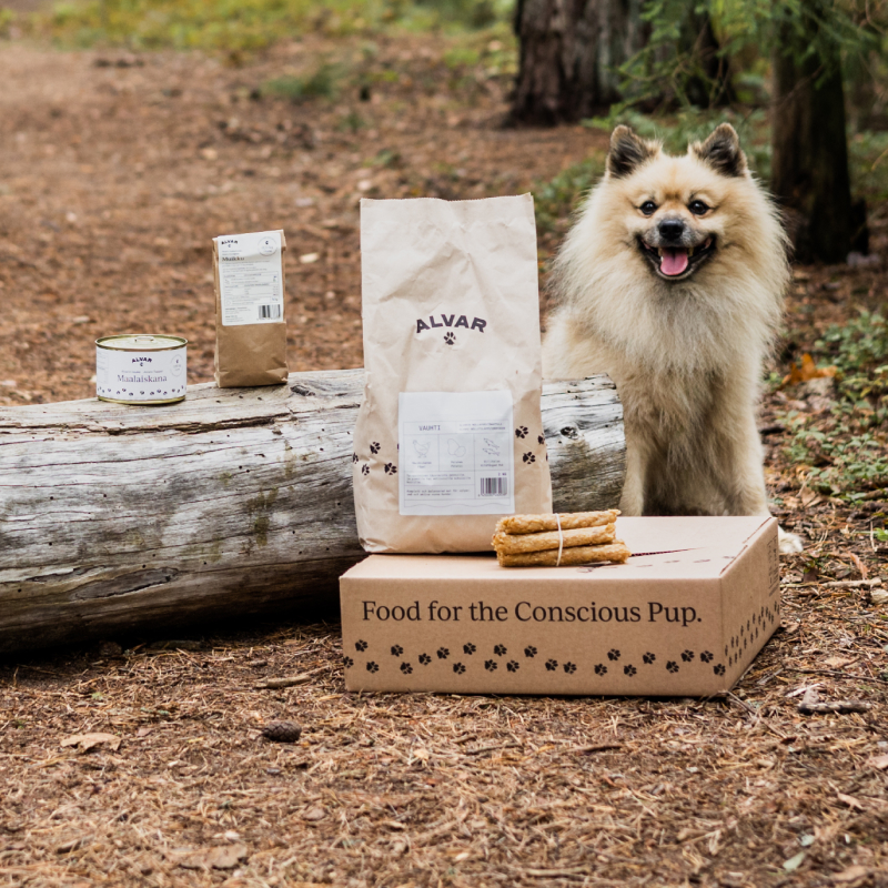 Hunden Alvar med Alvar Pets hundmat och andra produker i en skog
